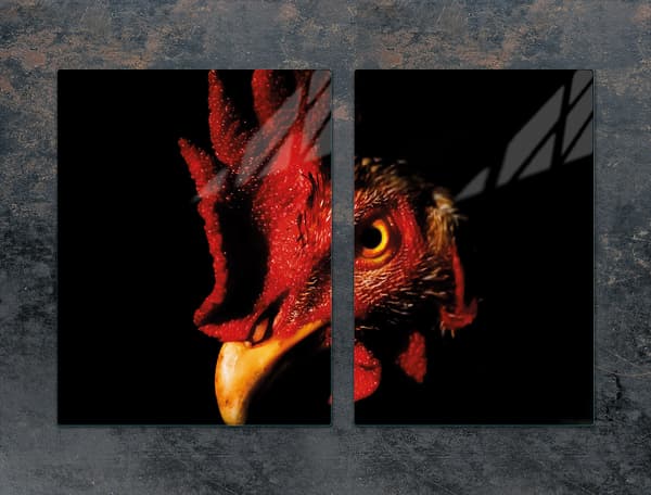 GLASSKYDDSPLÅT FÖR SPIS 75x52 ROOSTER