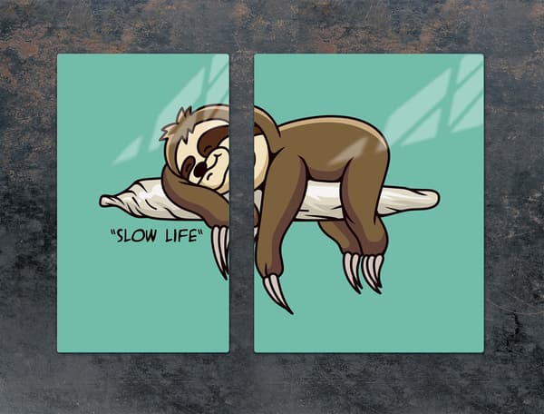 GLASBESKYTTELSESPLADE TIL KOMFUR 70x52 SLOTH