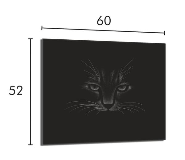 Skyddsplatta i glas för kaminen 60x52 Kat.
