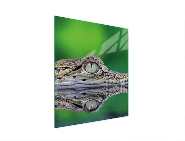 GLAS SKÆREBRÆT 45x52 KROKODIL