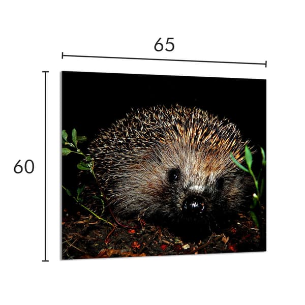 KEITTIÖN LASIPANEELI 65x60 Siili