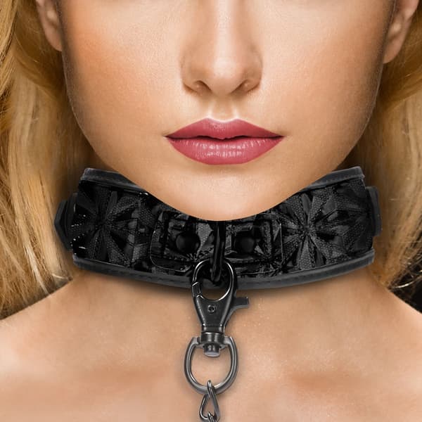 Aj halsband med koppel