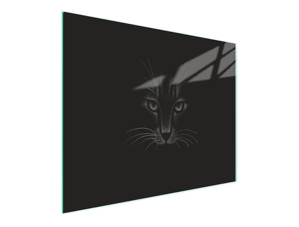 LASINEN LEIKKUULAUTA 52x30 KISSA