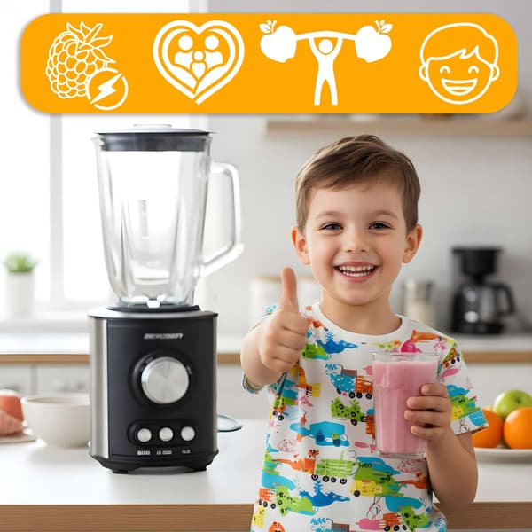 800W BD-751 Berdsen blender med kande, sort