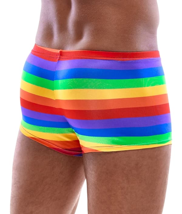 Svenjoyment Herre Regnbuestribede Boxershorts L