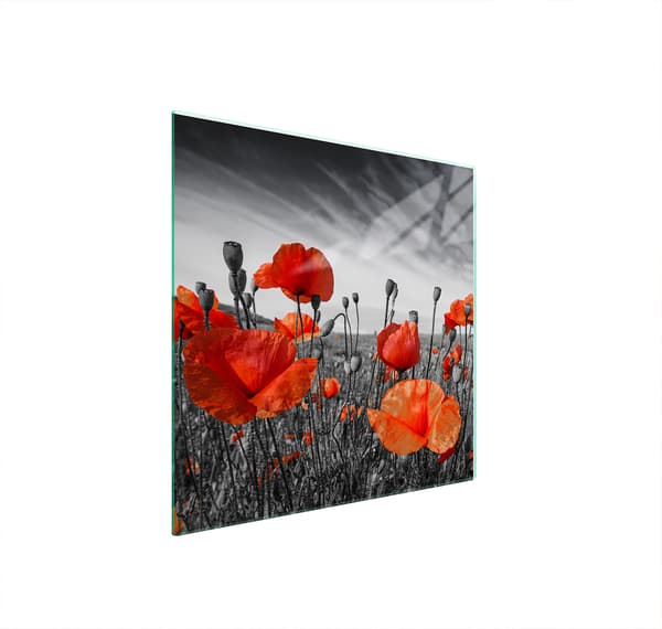 GLASBESKYTTELSESPLADE TIL KOMFUR 50x52 MAKI