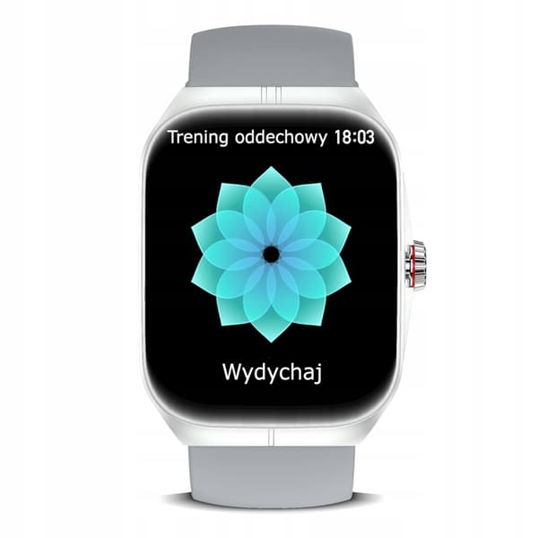 Wenom AMOLED NFC Bluetooth -älykello urheiluun, vedenpitävä Menu PL