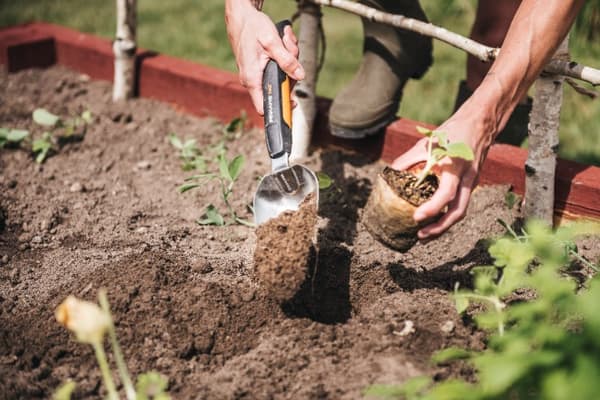 FISKARS XACT Liten trädgårdsspade för jord, plantering, omplantering av växter