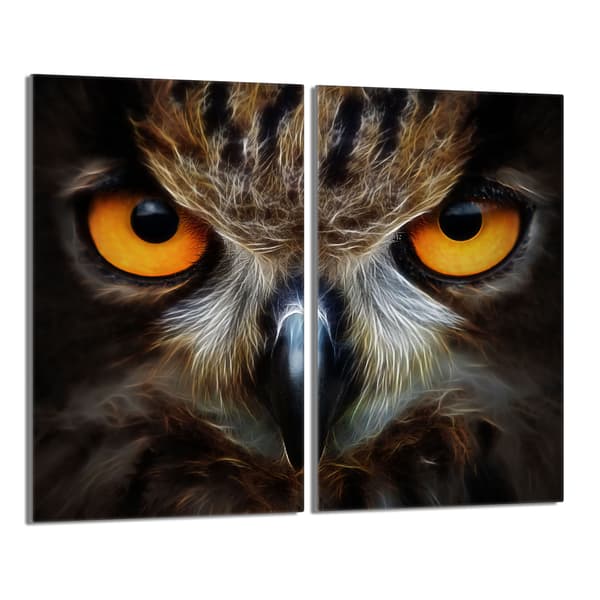 Lasinen suojalevy liedelle 2x30x52 Pöllö