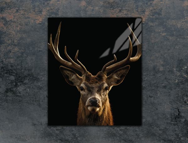 GLAS SKÆREBRÆT 45x52 DEER