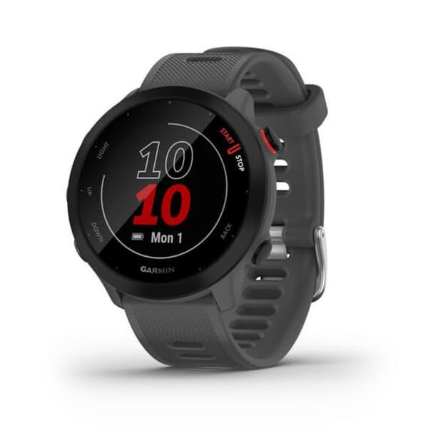 Garmin Forerunner 55 Grå (010-02562-13)