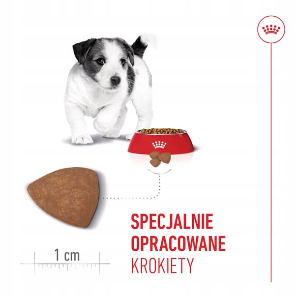 Royal canin shn mini puppy foder 8 kg