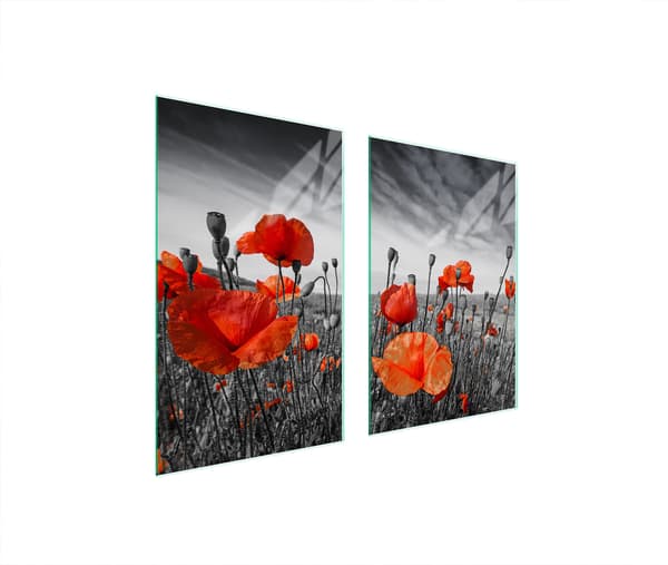 GLASSKYDDSPLATTA FÖR KÖK 65x52 MAKI