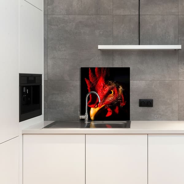 GLASPANEL FÖR KÖK 60x65 Rooster