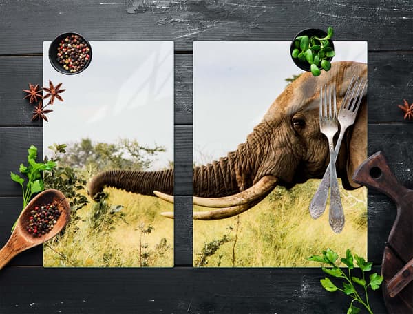 GLASSKYDDSPLATT FÖR SPIS 70x52 ELEFANT