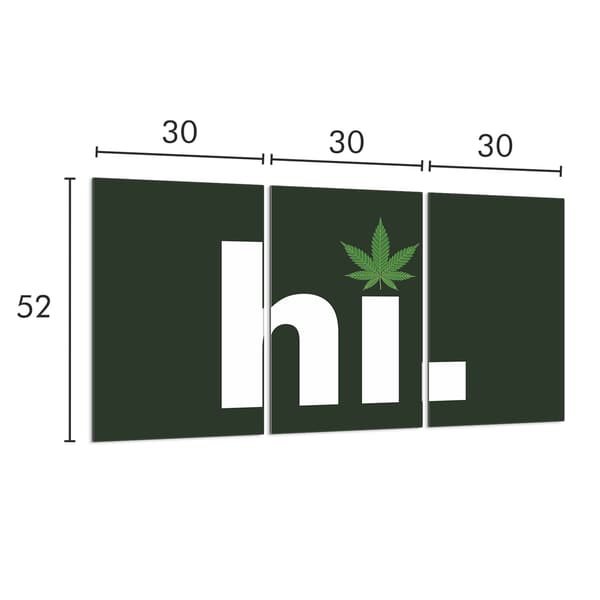 Glasbeskyttelsesplade til komfur 3x30x52