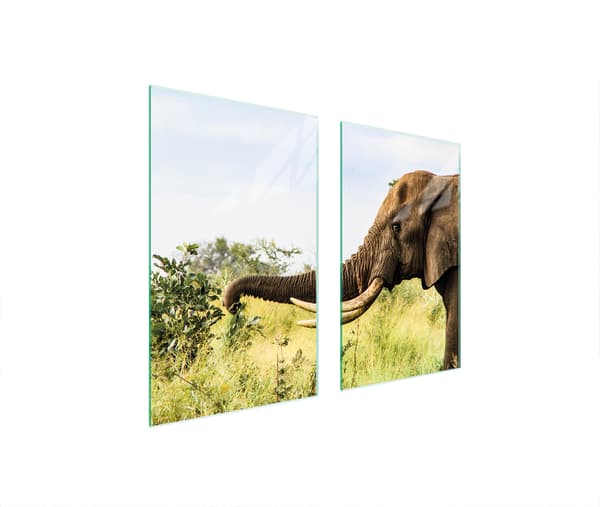 GLASBESKYTTELSESPLADE TIL KOMFUR 75x52 ELEFANT