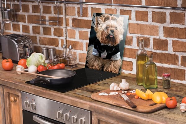 GLAS SKÄRBRÄDA 35x52 HUND