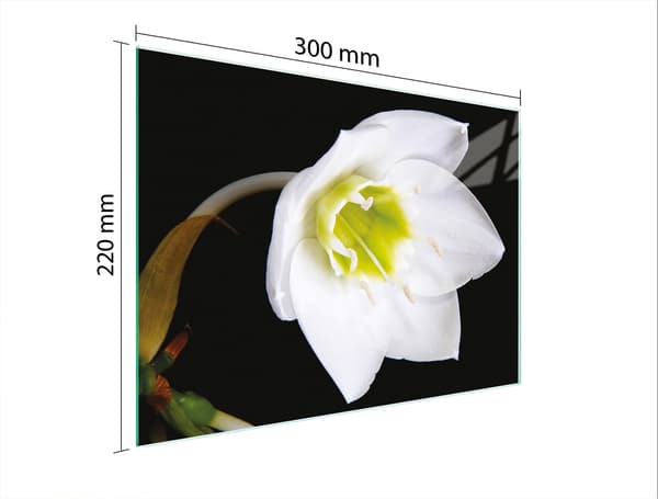 SKÄRBRÄDA I GLAS 30x22 ORCHID
