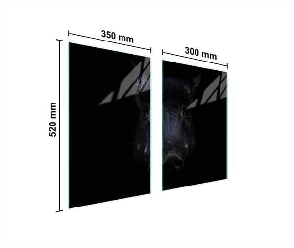 GLASBESKYTTELSESPLADE TIL KØKKEN 65x52 BOAR