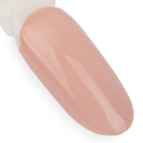 NTN Premium Day Dreaming Collection hybridgellack nr 60 5 g