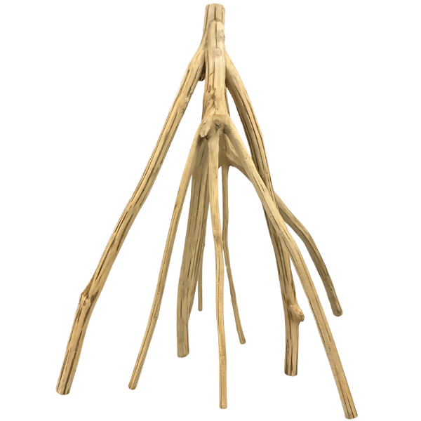 Mangrove Rod M