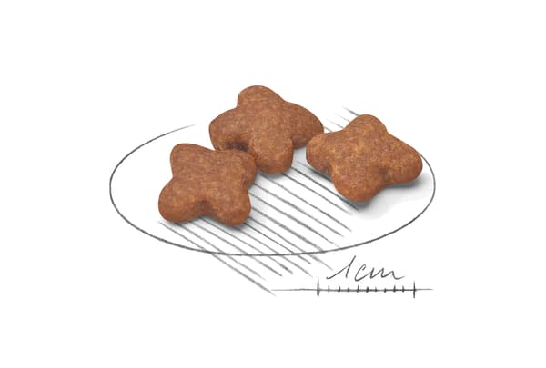 ROYAL CANIN Hundfoder Mini Adult 8 8kg