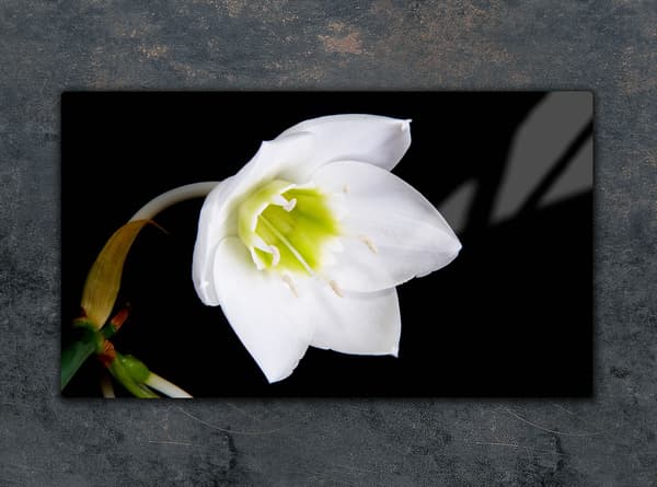 SKÄRBRÄDA I GLAS 52x30 ORCHID