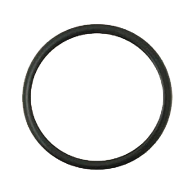 Oring Case IH 24mm 74707005 14463281 granit