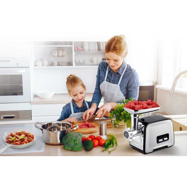 Köttkvarn BD-601B Berdsen 450/1200W