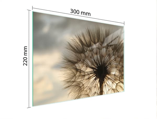 GLAS SKÆREBRÆT 30x22 BLOMST