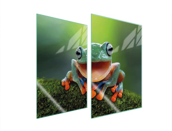 GLASPLADE TIL KØKKEN 2x35x52 FROG