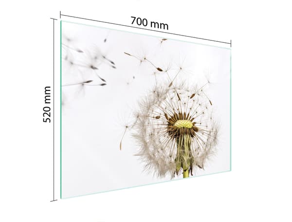 GLASSKYDDSPLÅT FÖR SPIS 70x52 FLOWER