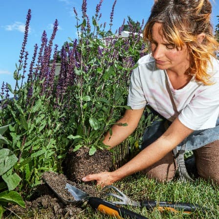 FISKARS XACT Liten trädgårdsspade för jord, plantering, omplantering av växter