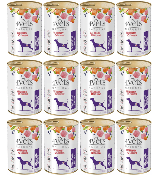 4VETS Naturligt Gastrointestinalt Hundfoder - våtfoder för hundar - 12x400 g