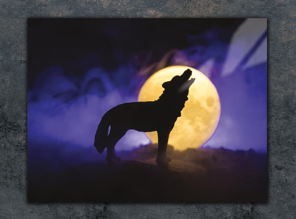 GLASSKÆREBRÆT 40x30 WOLF