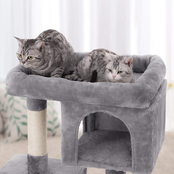 FEANDREA Cat Tree, Compact Cat Condo with 2 Caves, Light Grey PCT61W