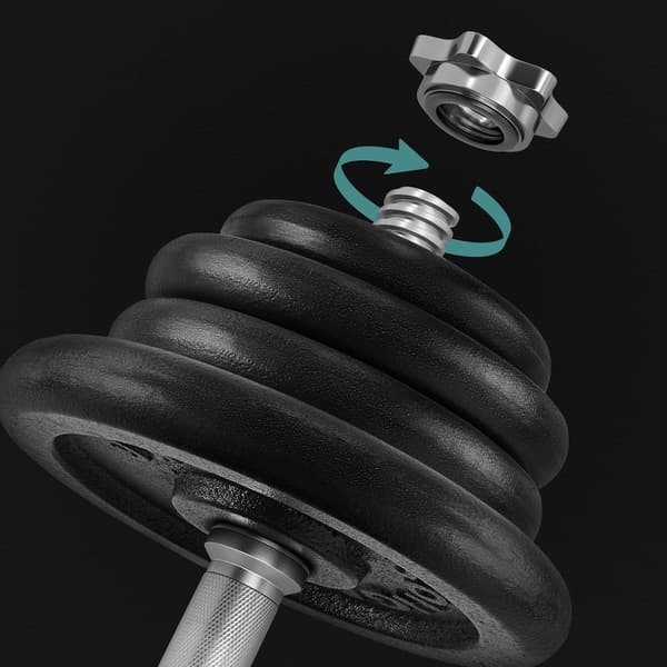 SONGMICS cast iron dumbbell-Single Piece
