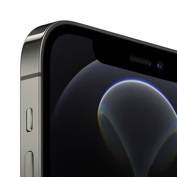 APPLE Iphone 12 Pro Max - 256 Go - Grafit (2020) - NYTT BATTERI - Begagnad - Utmärkt skick