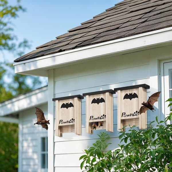 PawHut Fladdermushus 3-pack Fladdermushus, holk för fladdermöss Natur