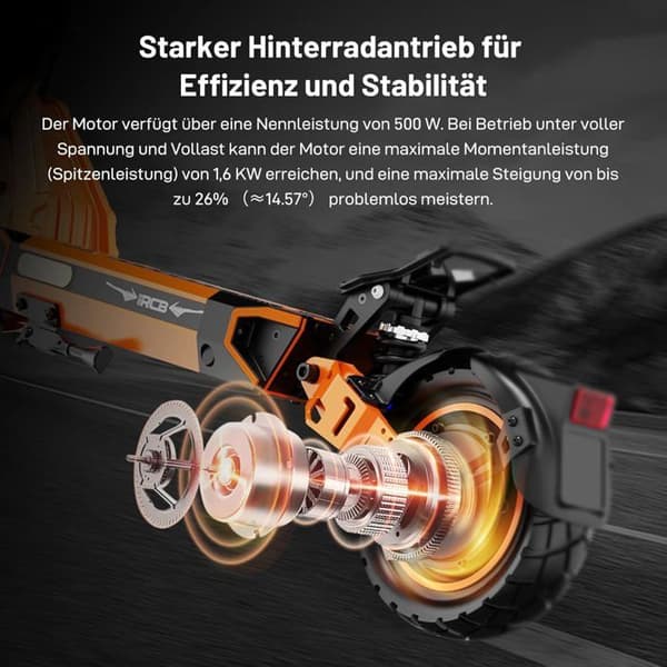 RCB D7 Elscooter 500W 48V 20,8Ah Räckvidd 80–100 km