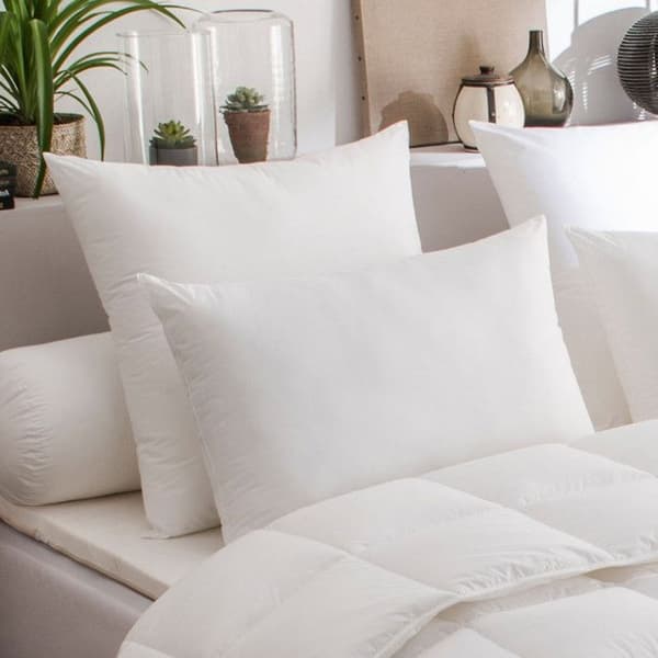 Set med 2 mikrofiberkuddar Medium Antiallergiska "DODO" - 60x60