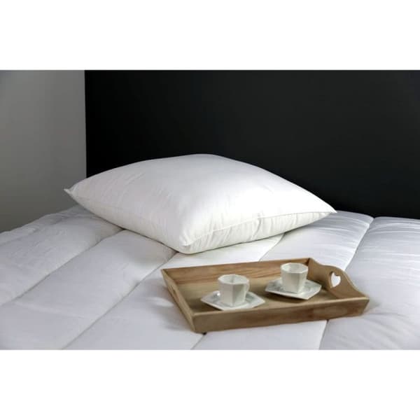Set med 2 mikrofiberkuddar Medium Antiallergiska "DODO" - 60x60