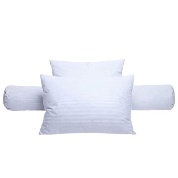 Set med 2 fjäderkuddar 60 x 60 cm "DODO" - Vit -