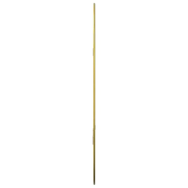 Väggspegel guld 60x40 cm
