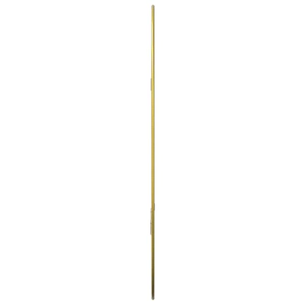 Väggspegel guld 50x35 cm