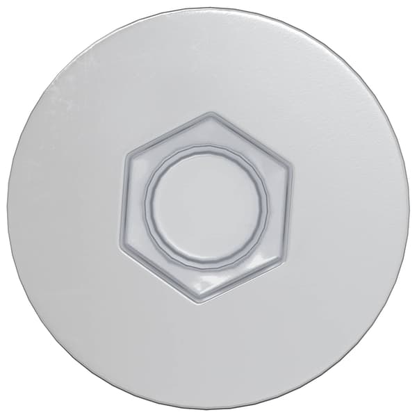 Konfirmationsskruvar 2 pcs Silver Ø7 x 50 mm Metall