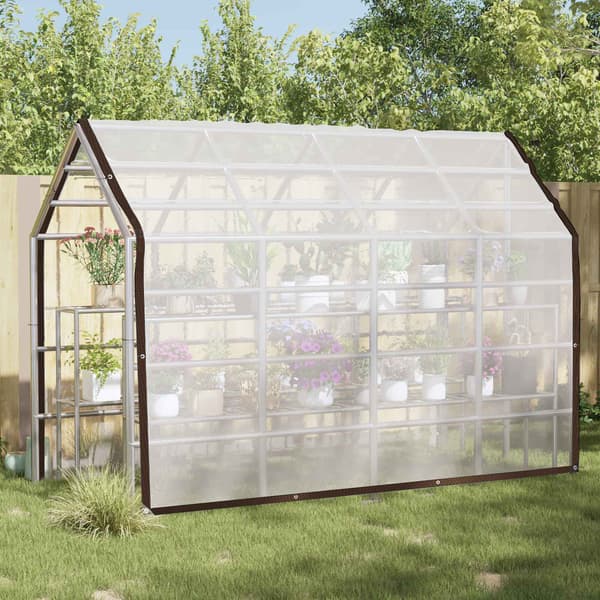 Växtskydd Transparent 3 x 4 m PE