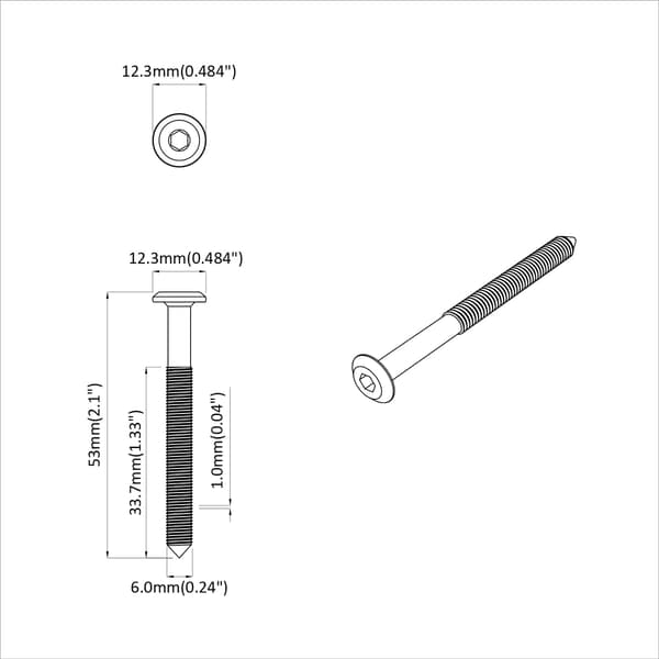 Skruv 2 pcs Silver M6 x 50 mm Stål