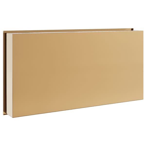 Duschnisch borstad guld 62x32x9 cm rostfritt stål